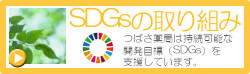 SDGs